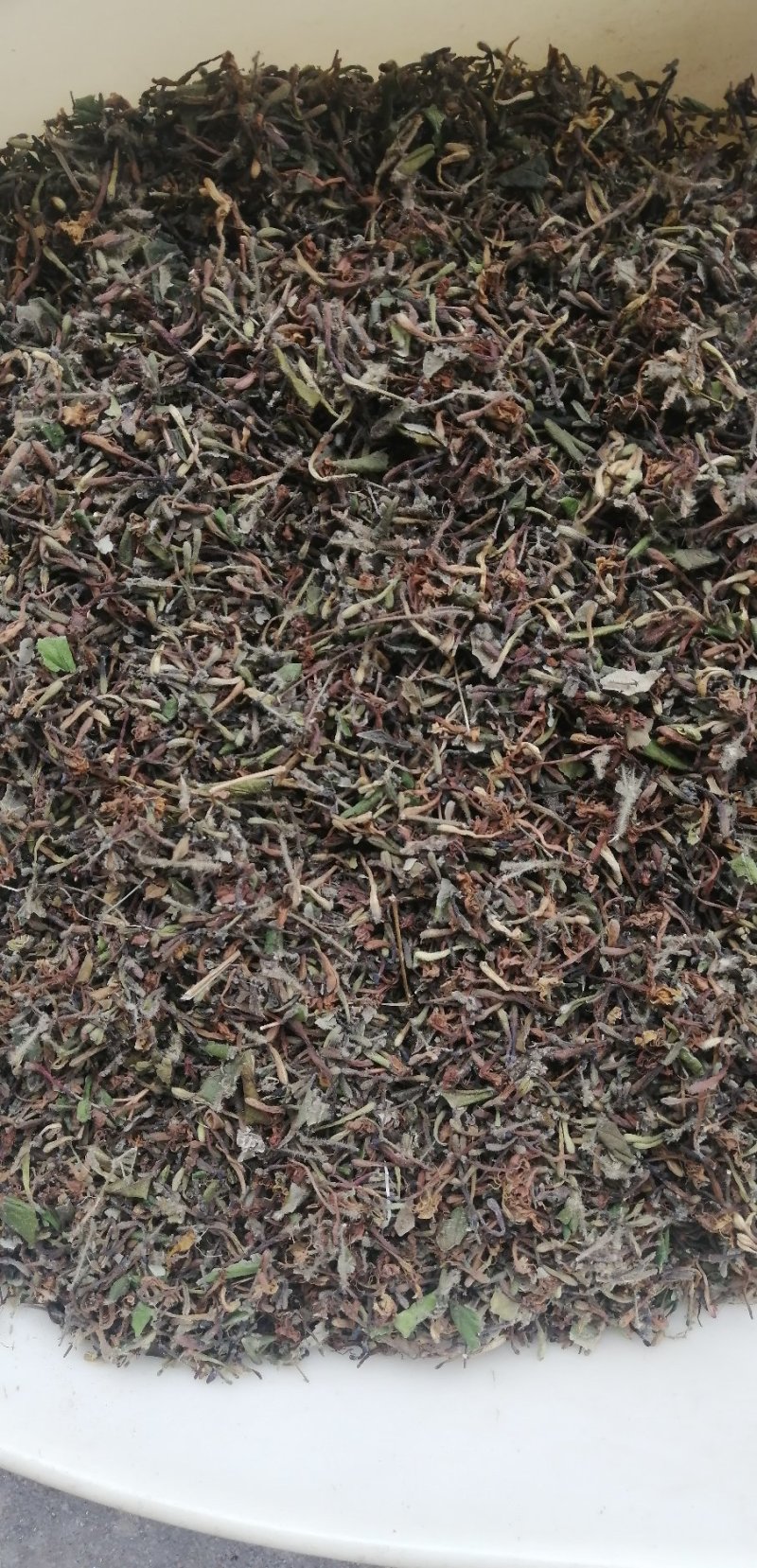 高山无农药无肥料野生金银花