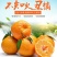 四川不知火，又名丑桔，肉质脆甜，预售期