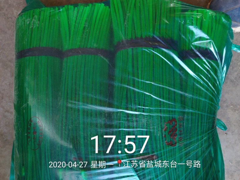 精品大棚韭苔（长度25～35cm）现在开始大量上市中