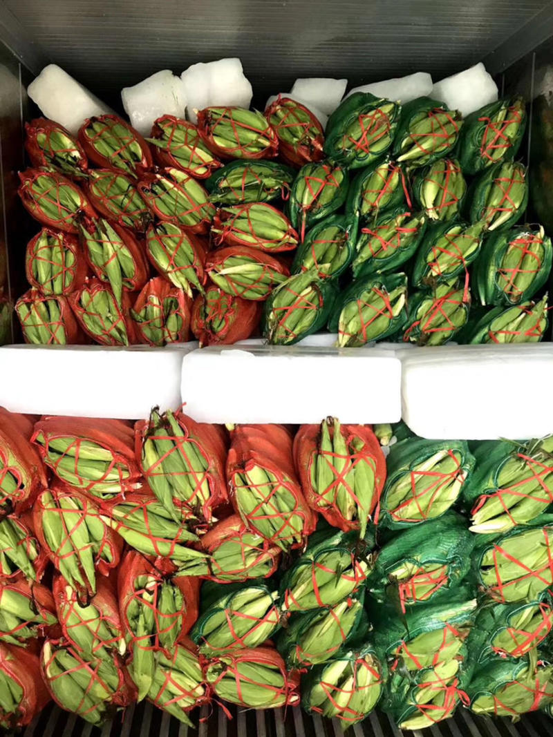 广西横州市水果甜玉米棒大量上市专业产地代办打冰散装