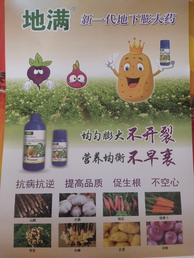 膨大素地满红薯土豆山药花生等各种地下果实作物