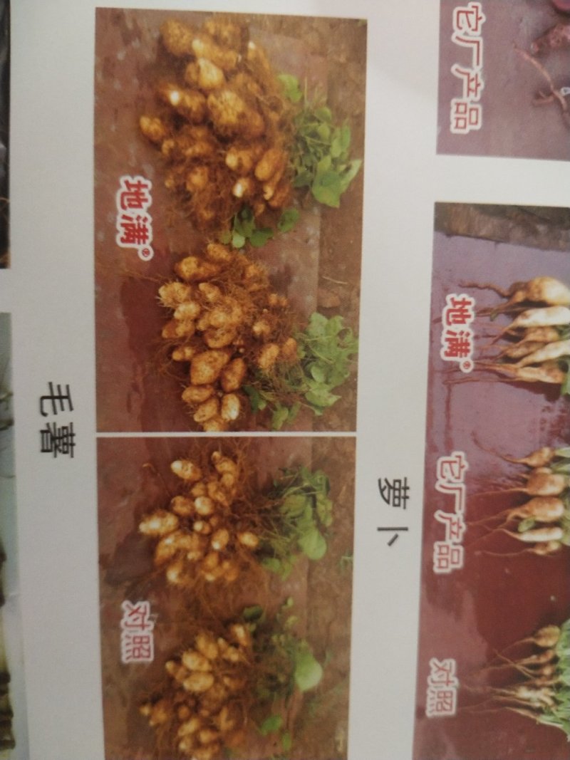 膨大素地满红薯土豆山药花生等各种地下果实作物