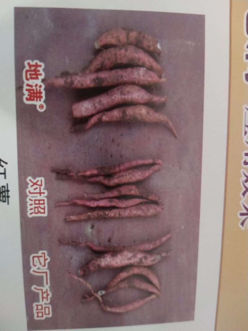 膨大素地满红薯土豆山药花生等各种地下果实作物