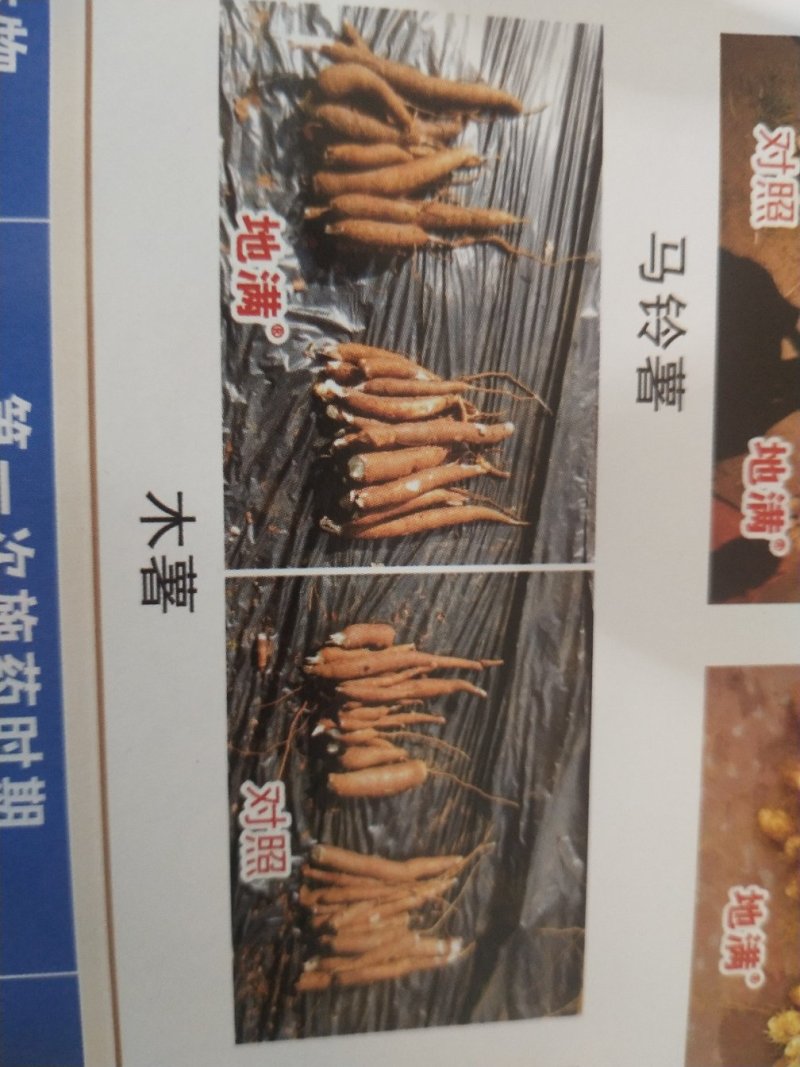 膨大素地满红薯土豆山药花生等各种地下果实作物