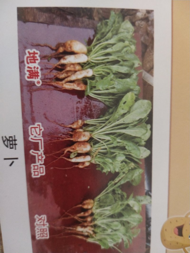 膨大素地满红薯土豆山药花生等各种地下果实作物