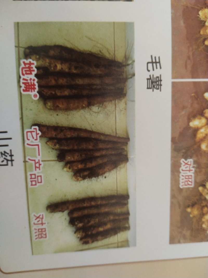 膨大素地满红薯土豆山药花生等各种地下果实作物