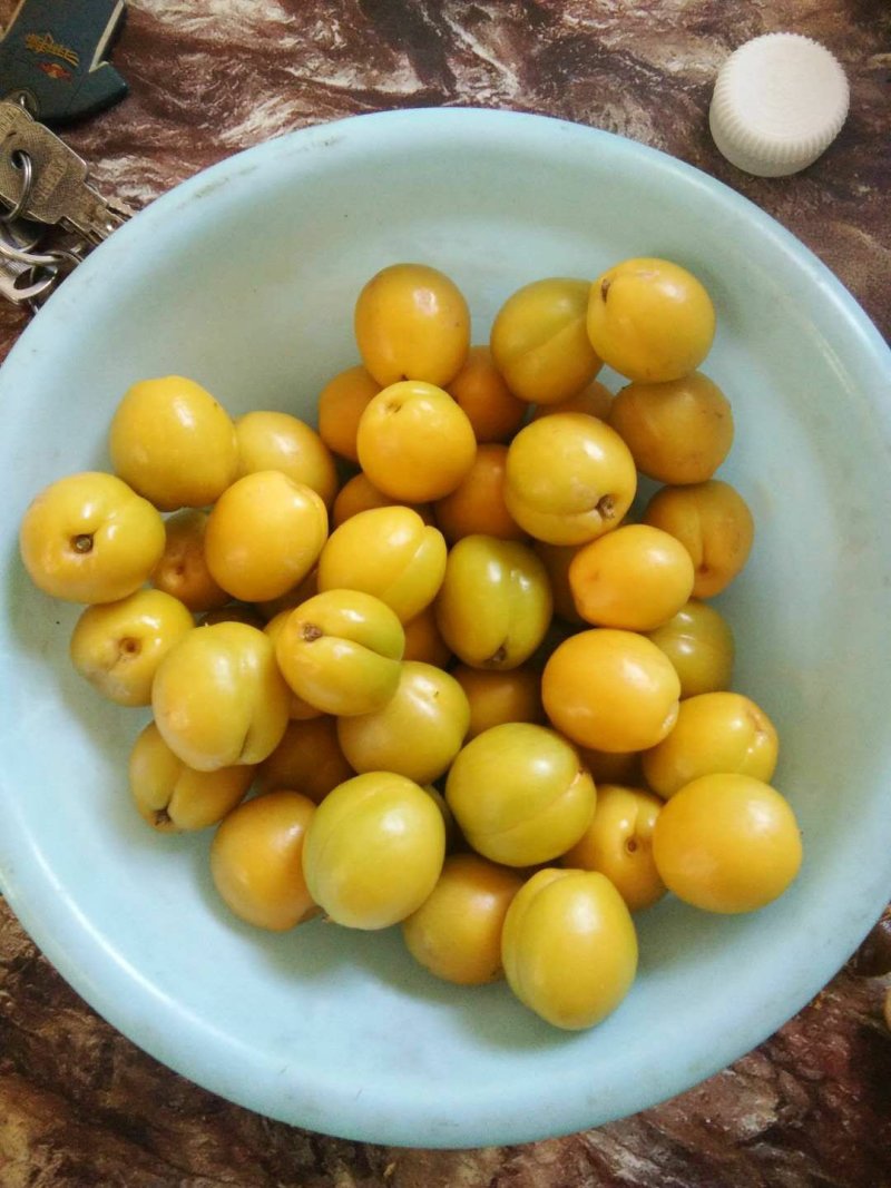 珍珠油杏