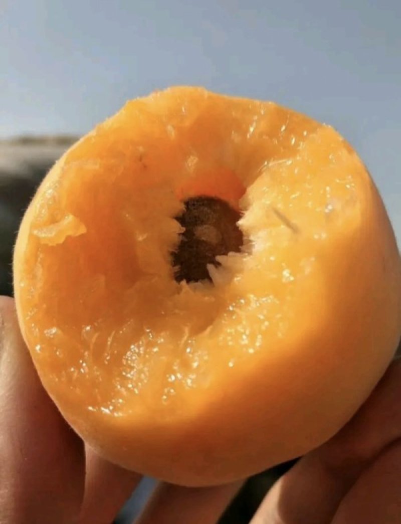 凯特杏，产地直供商超**