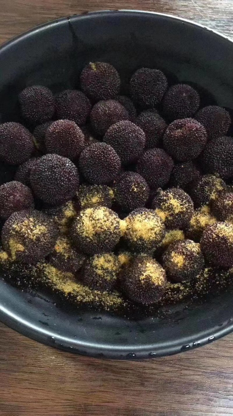 东奎杨梅苗