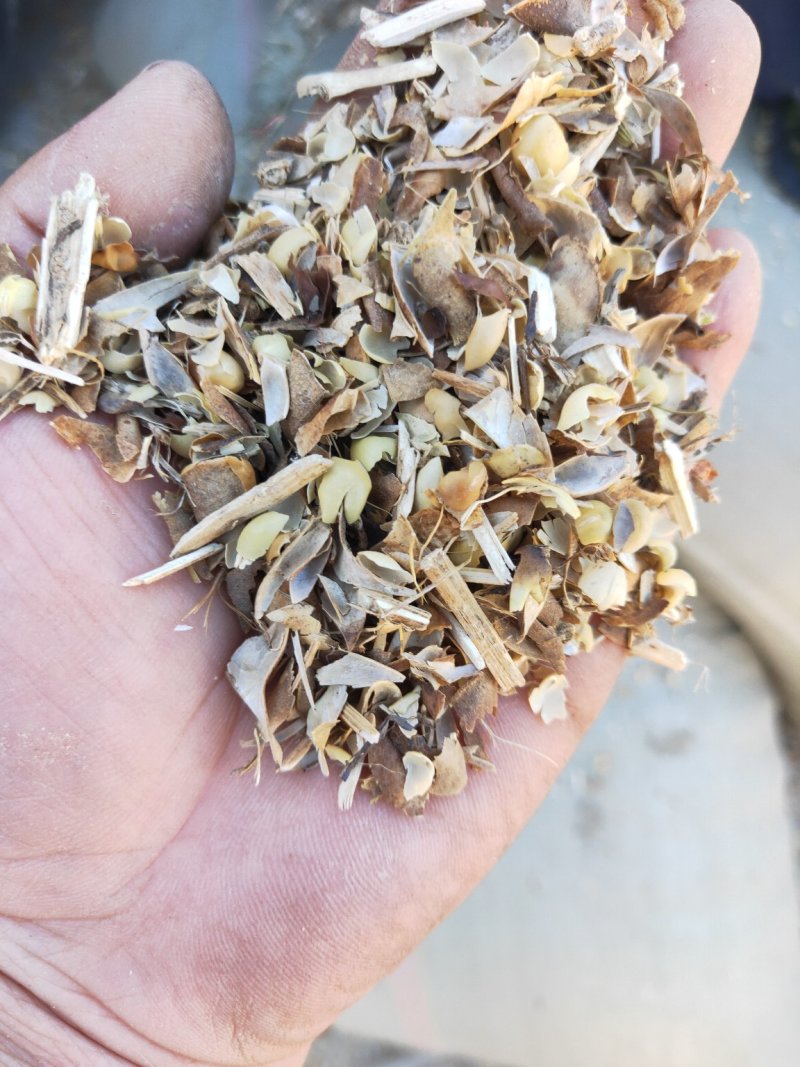 产地直发优质精选黄豆荚畜牧养殖牛羊驴马饲养送货上门