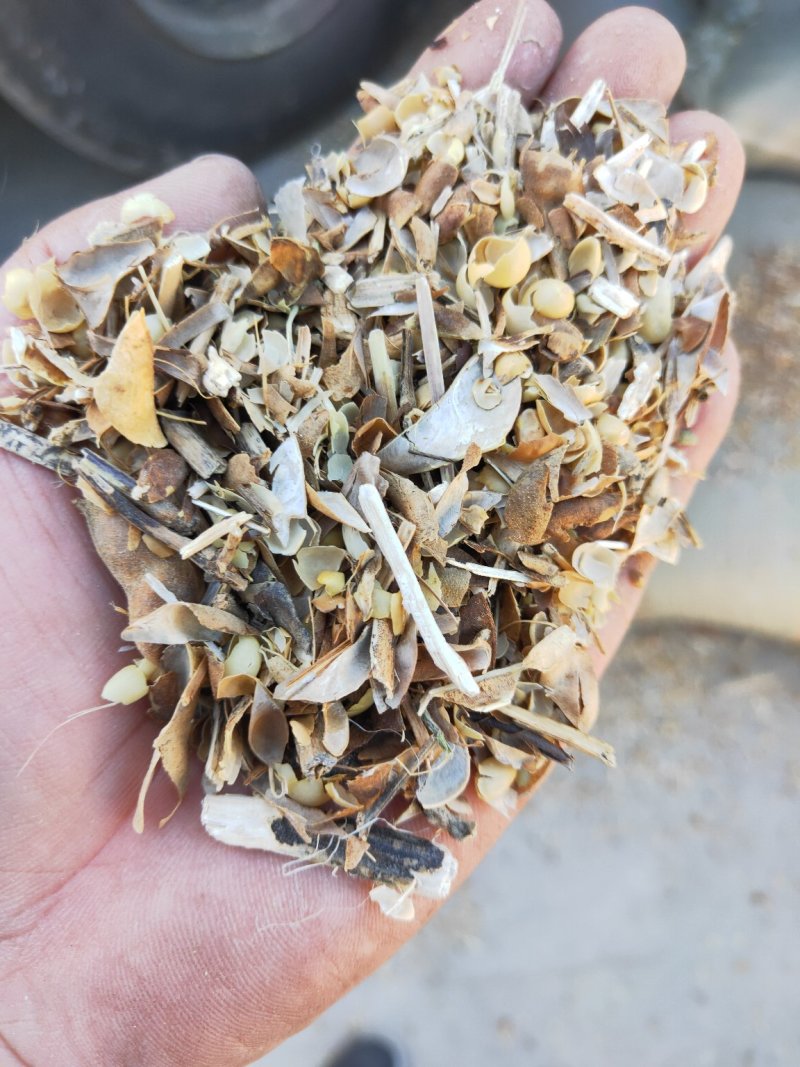 产地直发优质精选黄豆荚畜牧养殖牛羊驴马饲养送货上门
