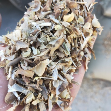 产地直发优质精选黄豆荚畜牧养殖牛羊驴马饲养送货上门
