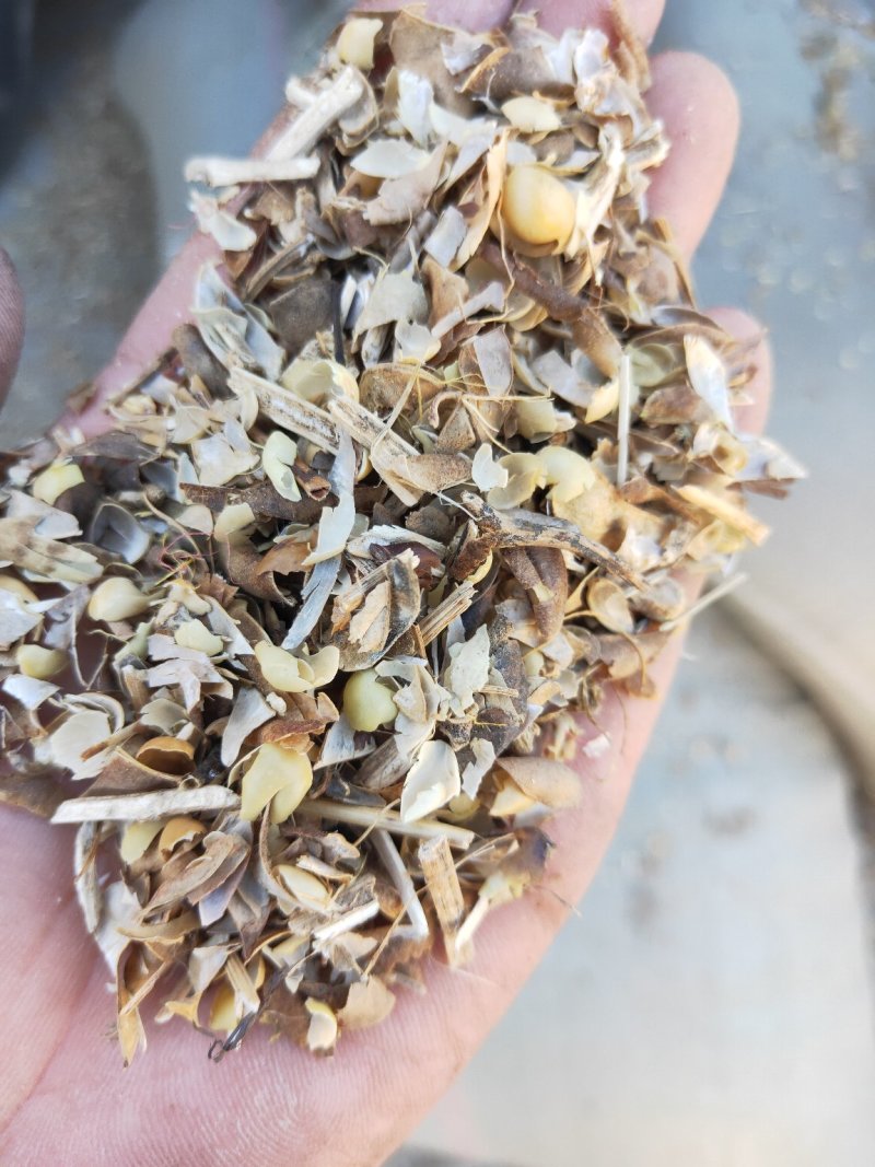 产地直发优质精选黄豆荚畜牧养殖牛羊驴马饲养送货上门
