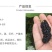 海宁果桑苗:无籽大十,青苗现挖现卖,产量高,纯真嫁接苗