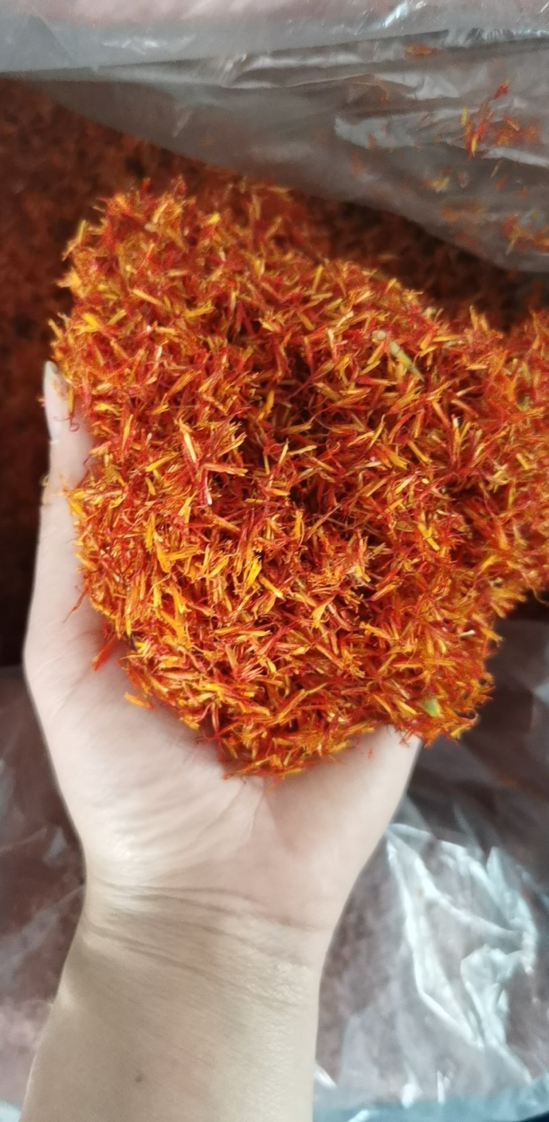 振兴药材批发供应红花各种规格大货批发价一手货源