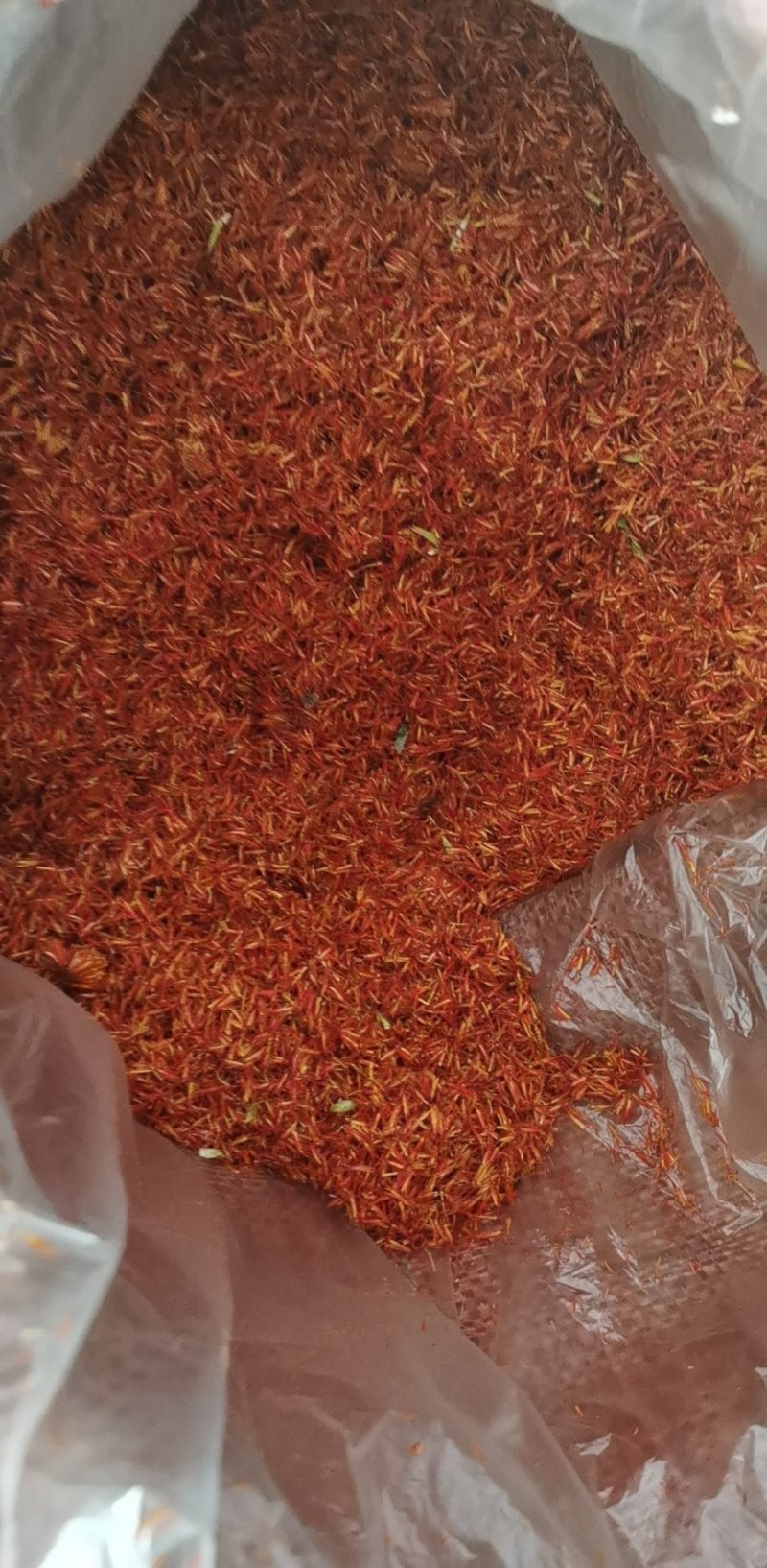 振兴药材批发供应红花各种规格大货批发价一手货源