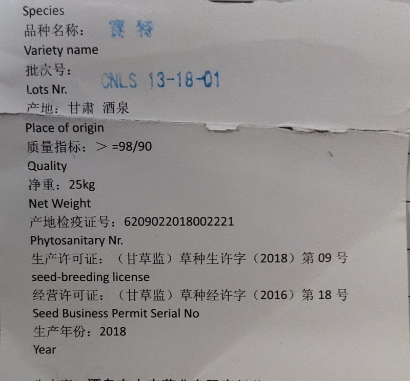 苜蓿种子紫花苜蓿草种子牛羊马兔草种子紫花苜蓿草种子