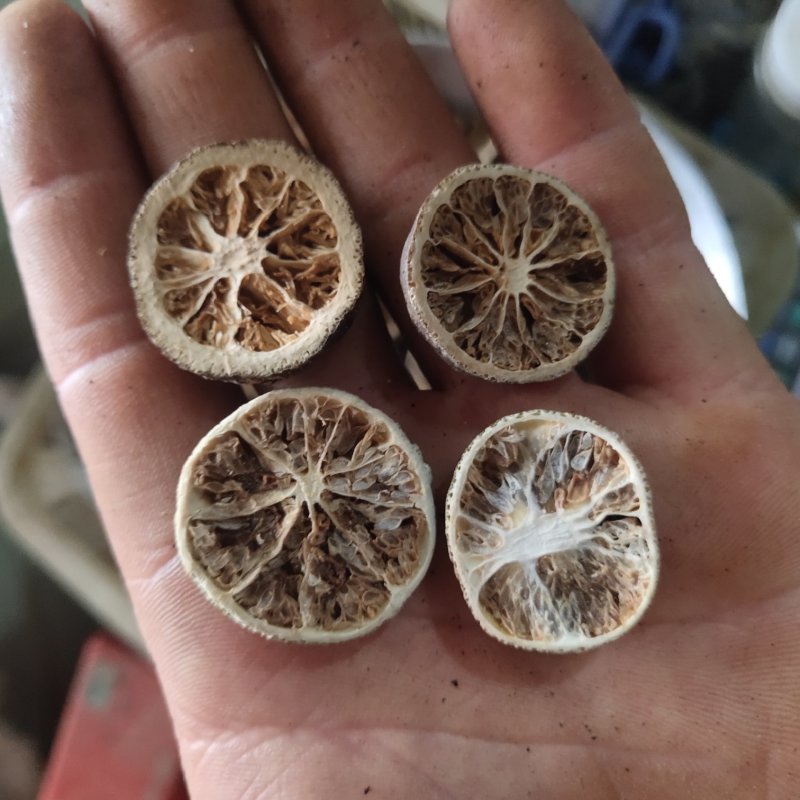 青皮1.2以上青皮新货关书药业