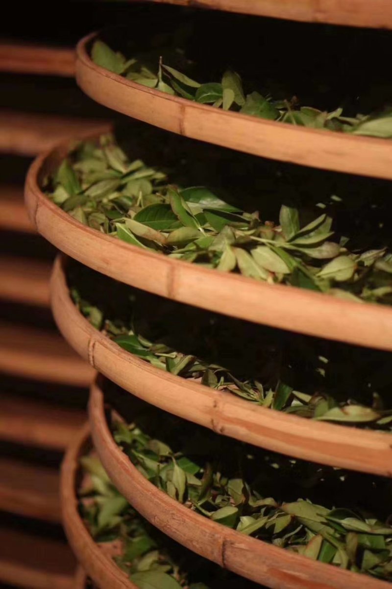 安溪铁观音茶叶青茶乌龙茶春茶正味花香茶叶支持线上保障交易