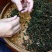 安溪铁观音茶叶青茶乌龙茶春茶正味花香茶叶支持线上保障交易