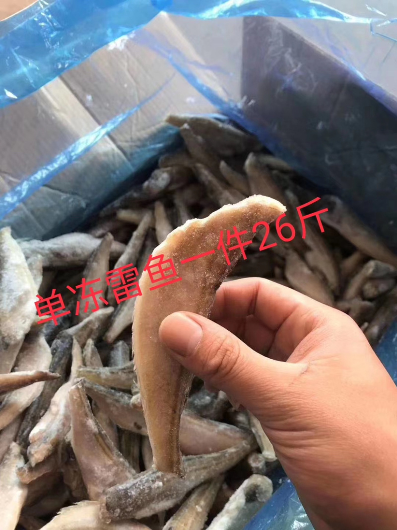 单冻三去雷鱼红尾鱼高品质