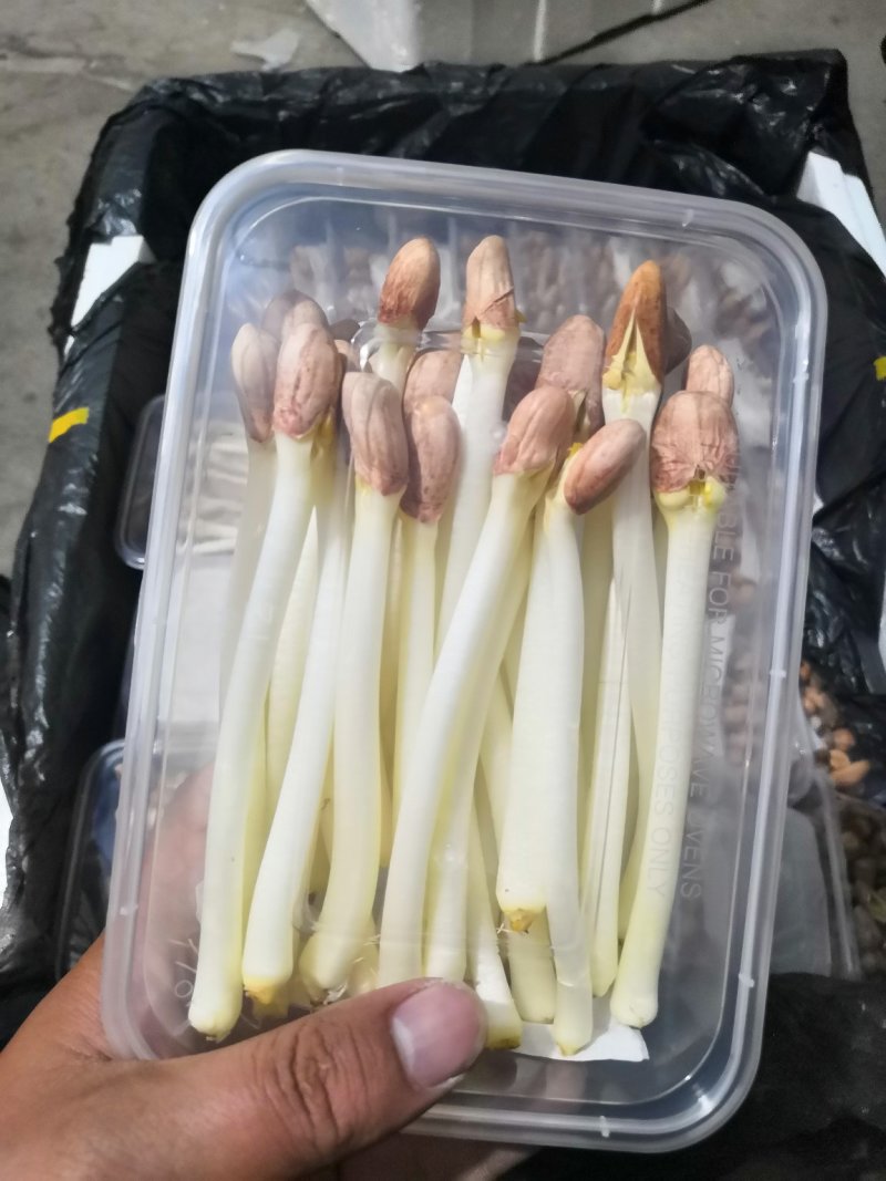 海玉花生芽什么包装都有