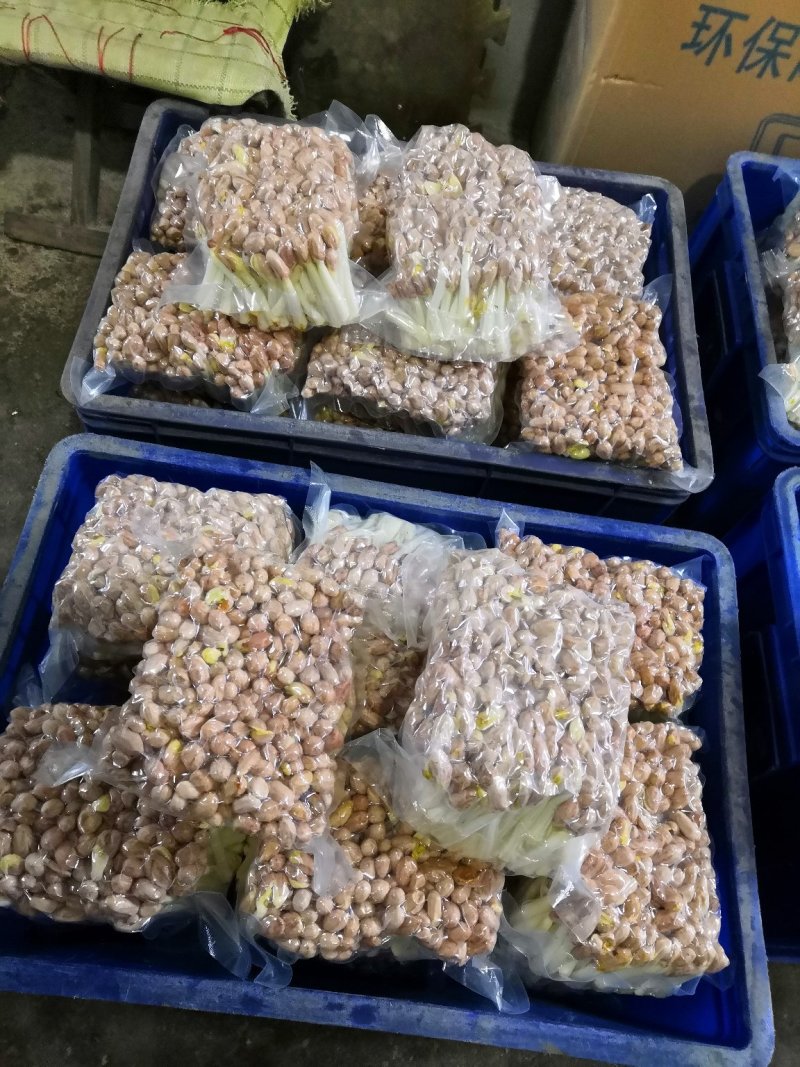 海玉花生芽什么包装都有
