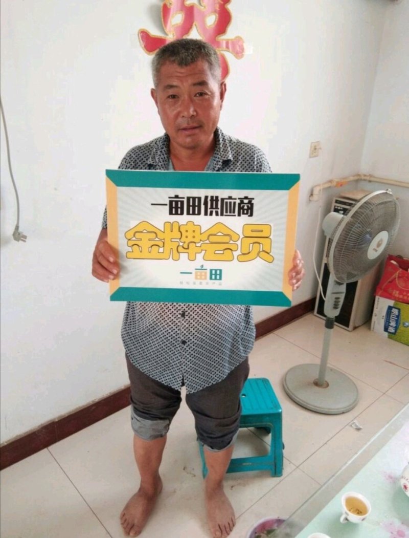 山东铁杆大葱《安丘大葱》2cm左右25~30cm产地直发