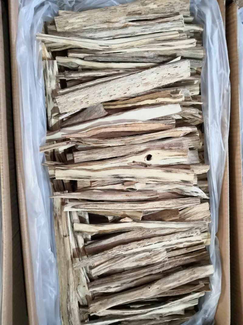 沉香切片，广泛应用药学