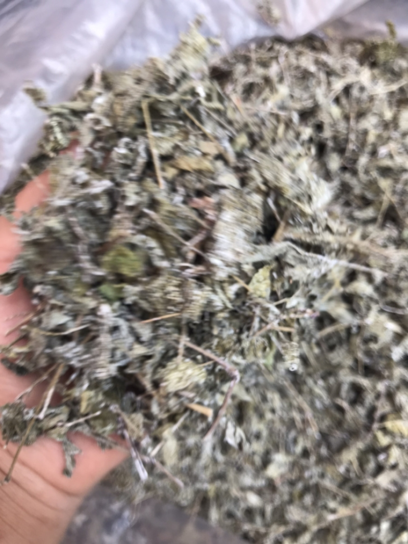 野生白茶藤婆茶溪黄草