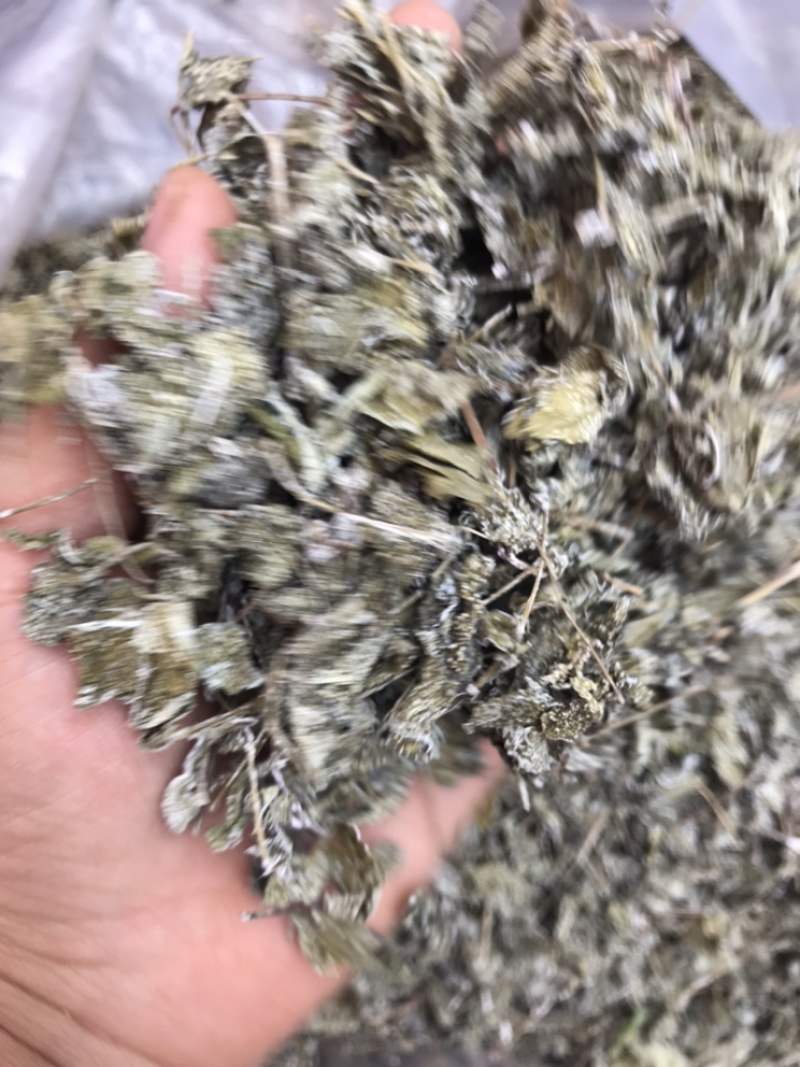 野生白茶藤婆茶溪黄草