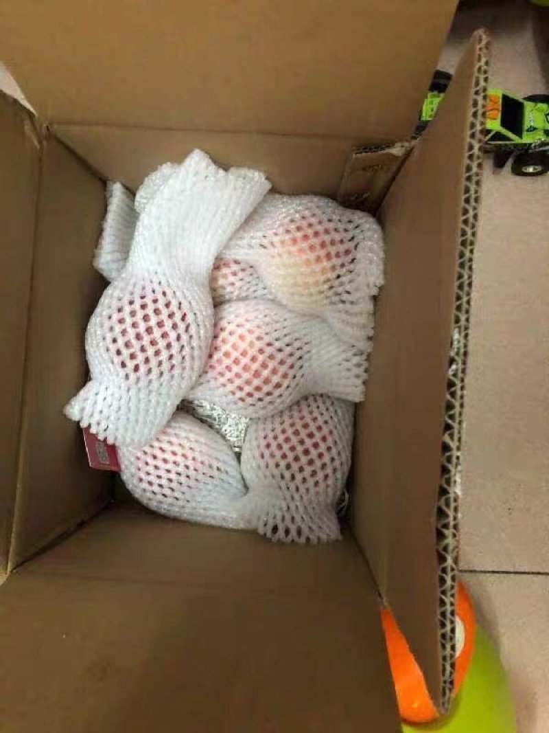 毛桃水蜜桃五斤包邮供应电商微商一件代发，