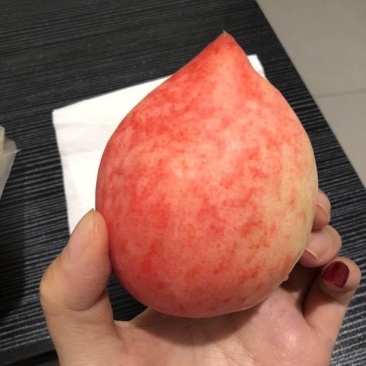 毛桃水蜜桃五斤包邮供应电商微商一件代发，