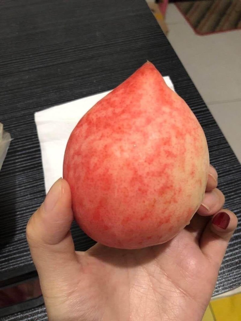 毛桃水蜜桃五斤包邮供应电商微商一件代发，