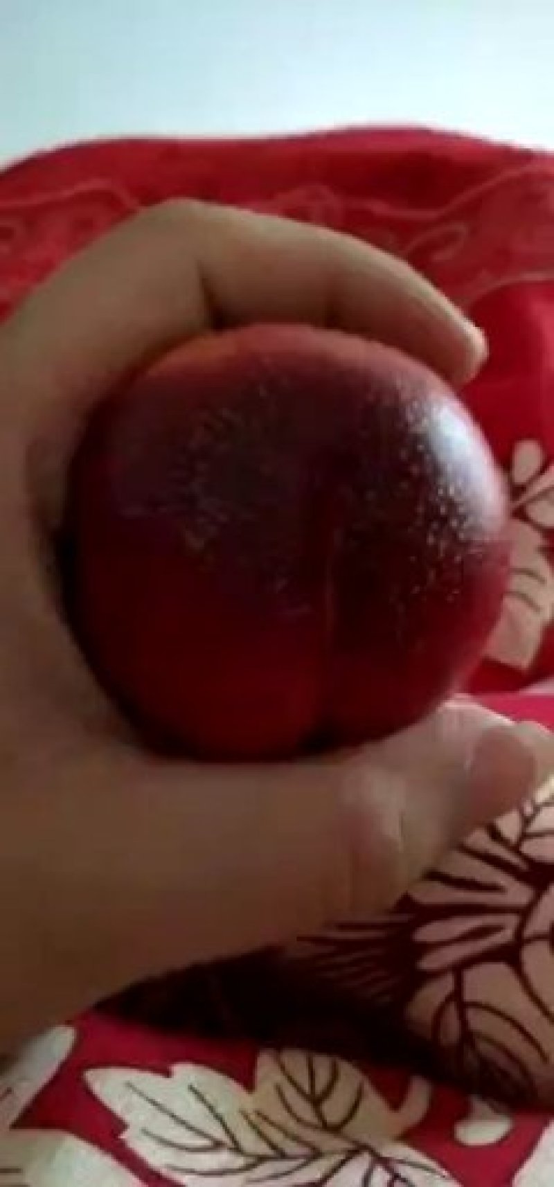 湖北黄心油桃一件代发快递抖音淘宝拼多多