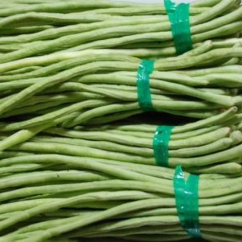 豇豆四川农家自种新鲜蔬菜种植基地嫩长豇豆