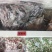 250克牛肉干出厂价，热卖中的