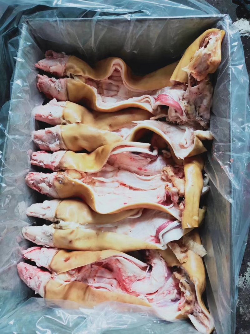 【高端牛蹄】火烧毛带骨牛蹄，半去骨牛蹄，全去骨牛蹄