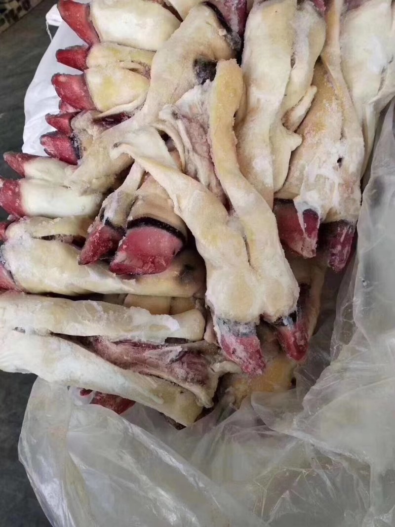 【高端牛蹄】火烧毛带骨牛蹄，半去骨牛蹄，全去骨牛蹄