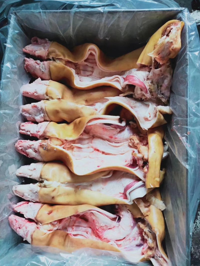 【高端牛蹄】火烧毛带骨牛蹄，半去骨牛蹄，全去骨牛蹄