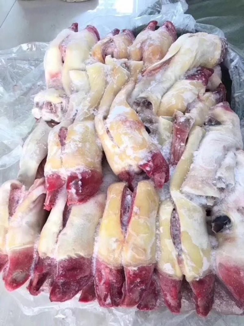 【高端牛蹄】火烧毛带骨牛蹄，半去骨牛蹄，全去骨牛蹄