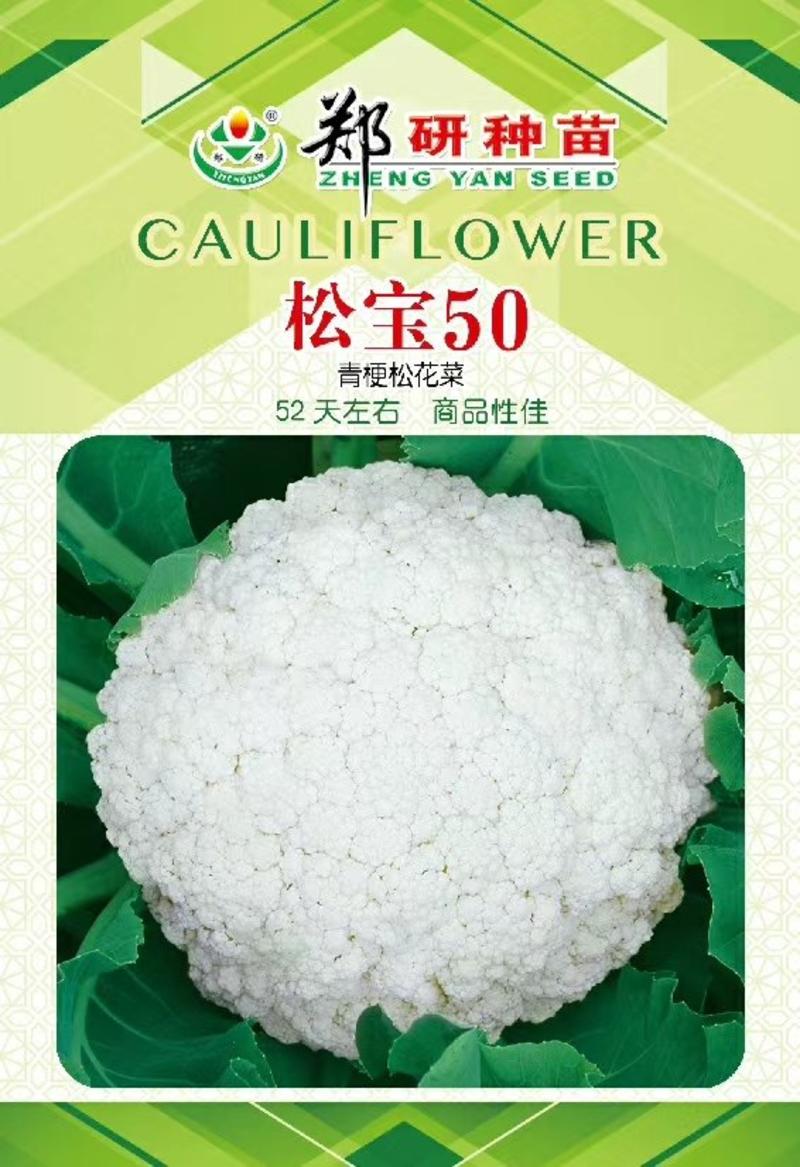 【优质】松花菜种子松宝系列青梗白花花球松大不变黄