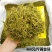 茶叶绿茶安吉白茶黄金芽黄金叶茶高档茶叶可礼盒