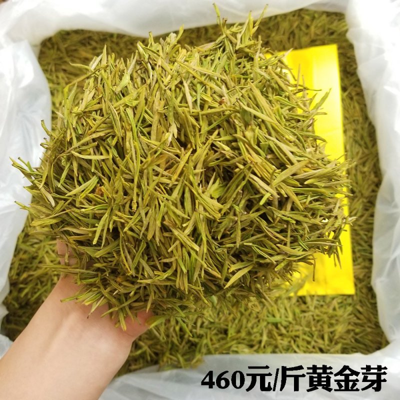 茶叶绿茶安吉白茶黄金芽黄金叶茶高档茶叶可礼盒