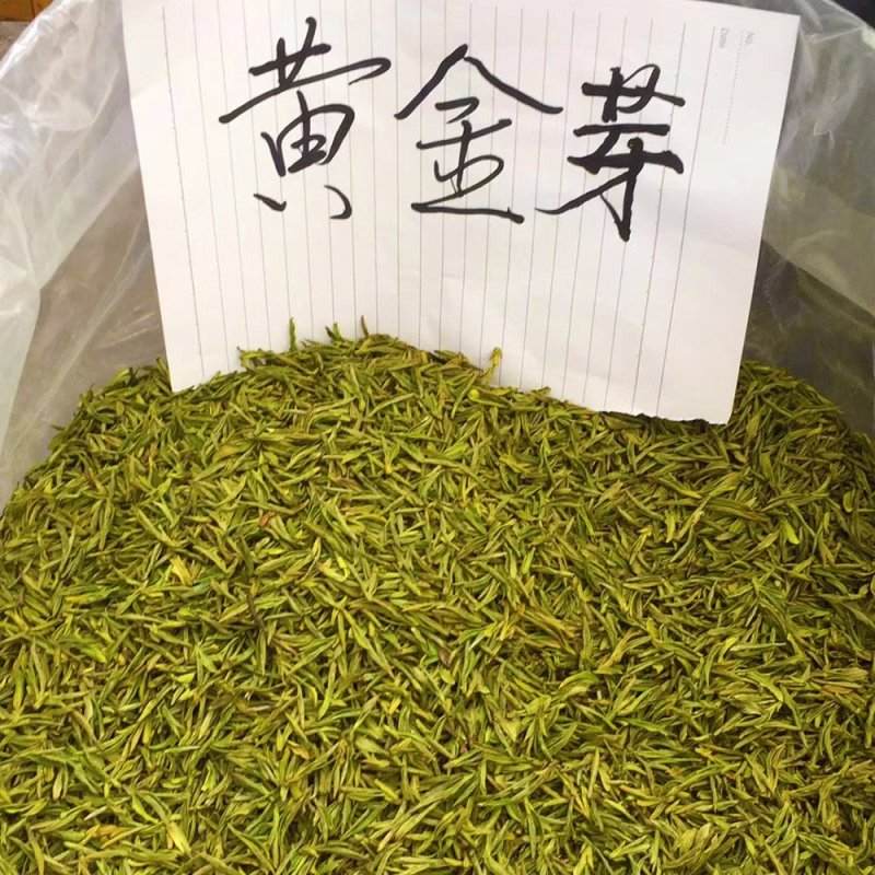 茶叶绿茶安吉白茶黄金芽黄金叶茶高档茶叶可礼盒