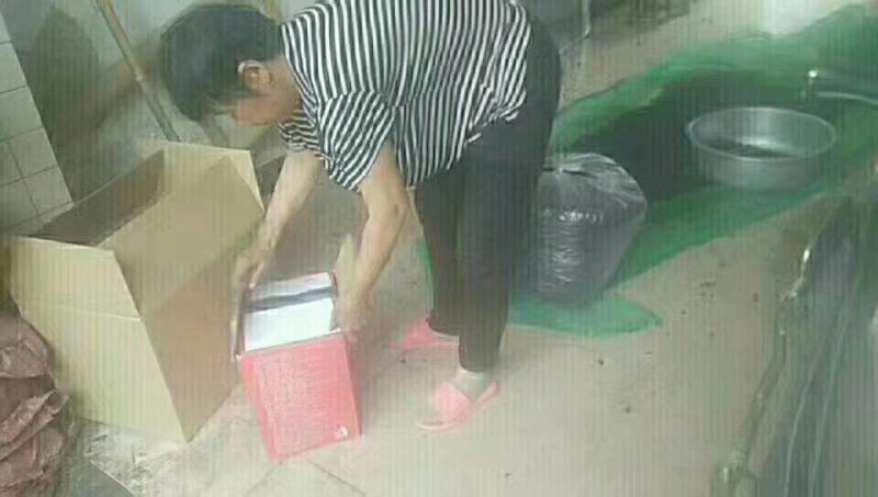 大叶桑～欢迎酒厂！果汁厂！食品厂烘干15一件包邮