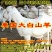 肉羊美国大白山羊对接养殖户一胎生三到四只赠铡草机货到付款