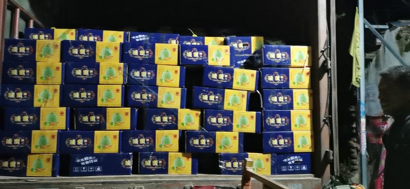 大棚西州蜜17，小蜜25，糖度17，脆甜可口