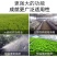 大功率送风筒迷雾器电动喷雾器雾化器田园管理送雾化器