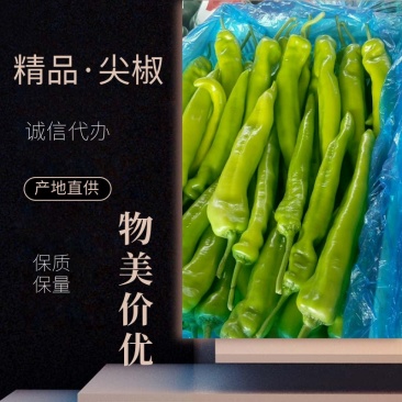 【实力商家】产地直发【质量上乘】价格合理【精品尖椒】尖椒